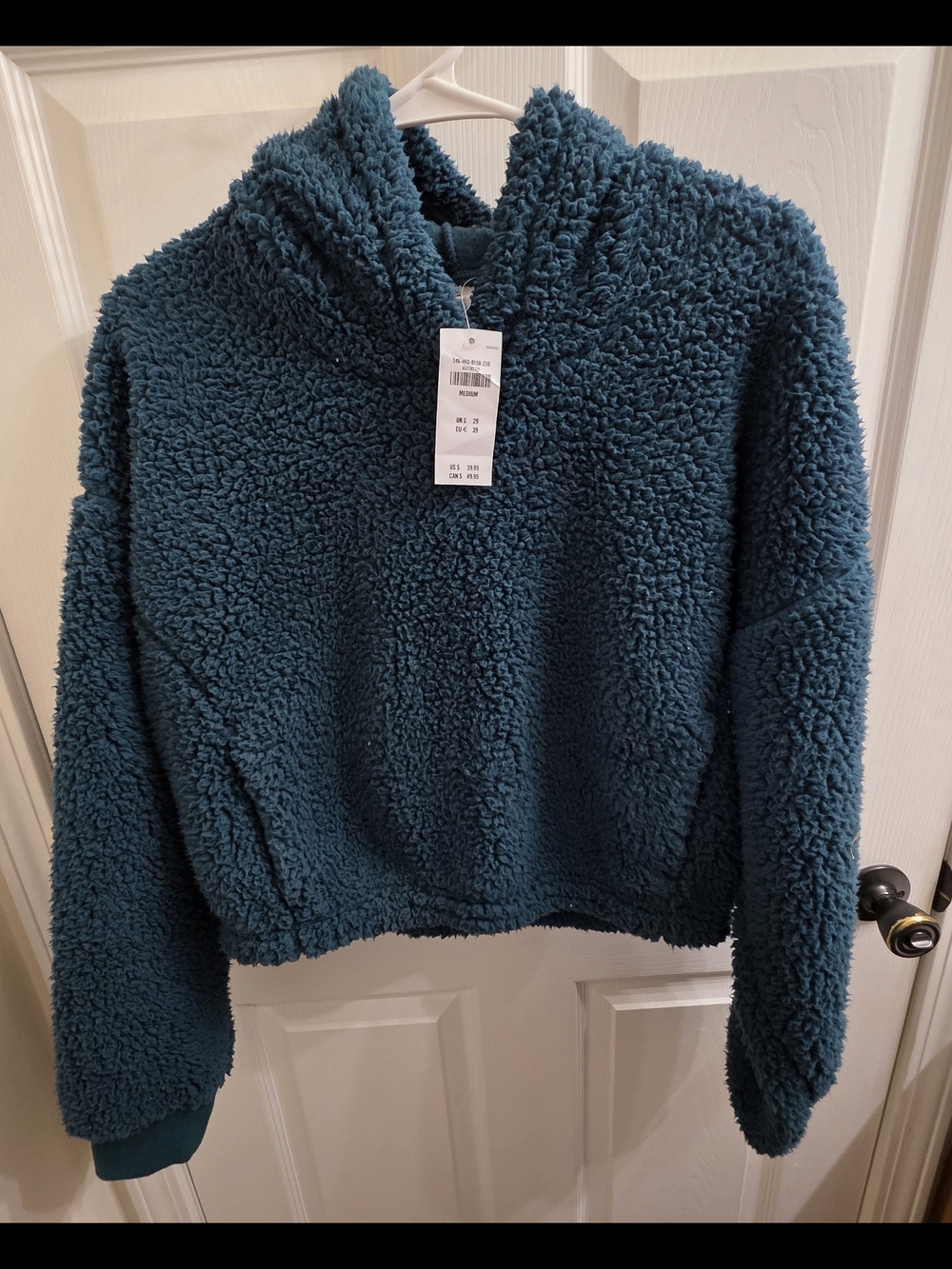 Gilly Hicks Teal Plush Sherpa Hoodie